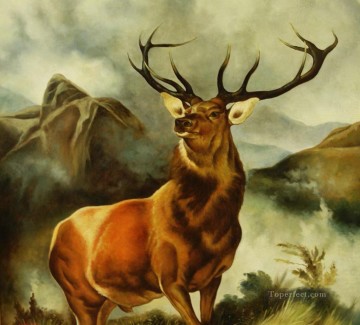 Deer Painting - am247D animal deer